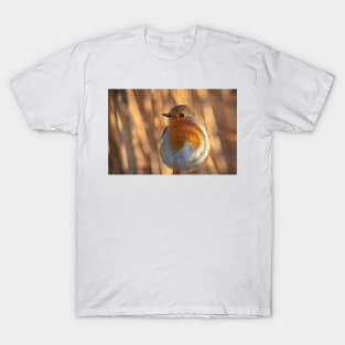 Robin dreams T-Shirt